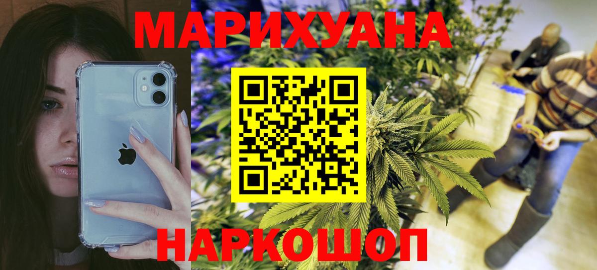 Канабис план Новый Уренгой